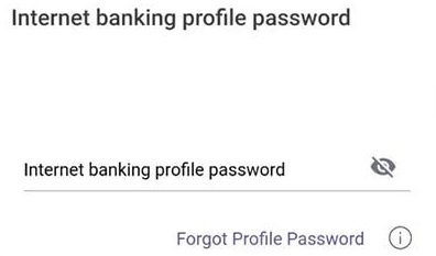 internet banking profile password
