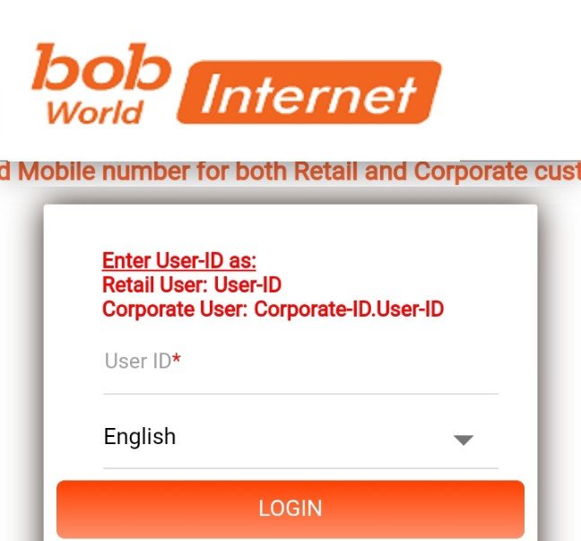 bob world internet login